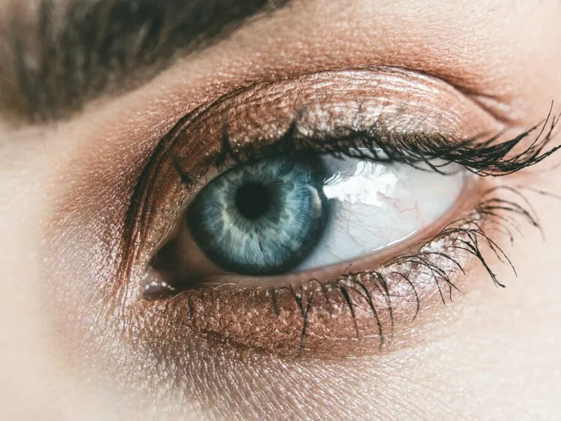 Eyeshadow Palette - die besten 8 im Vergleich