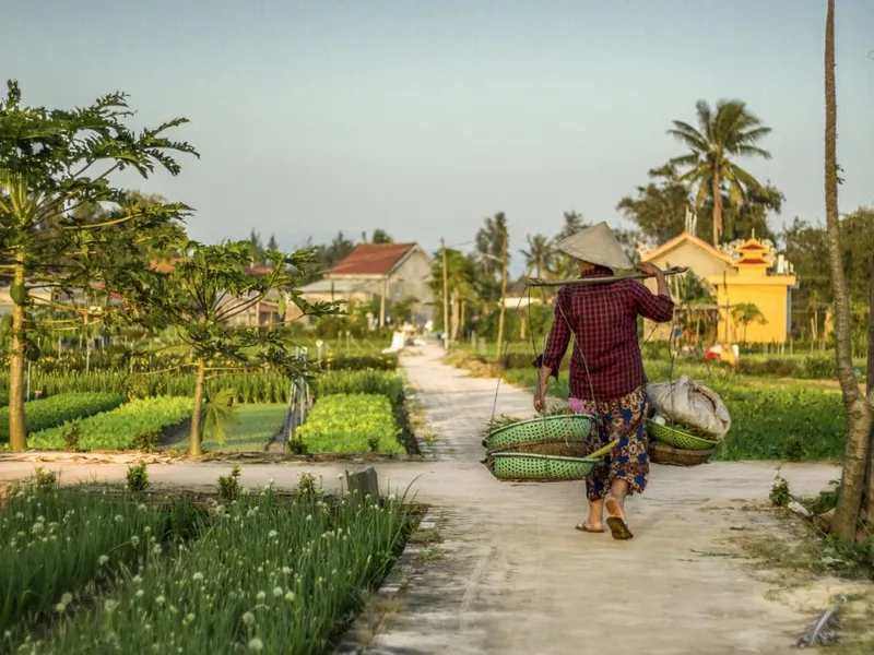 Work and Travel in Vietnam