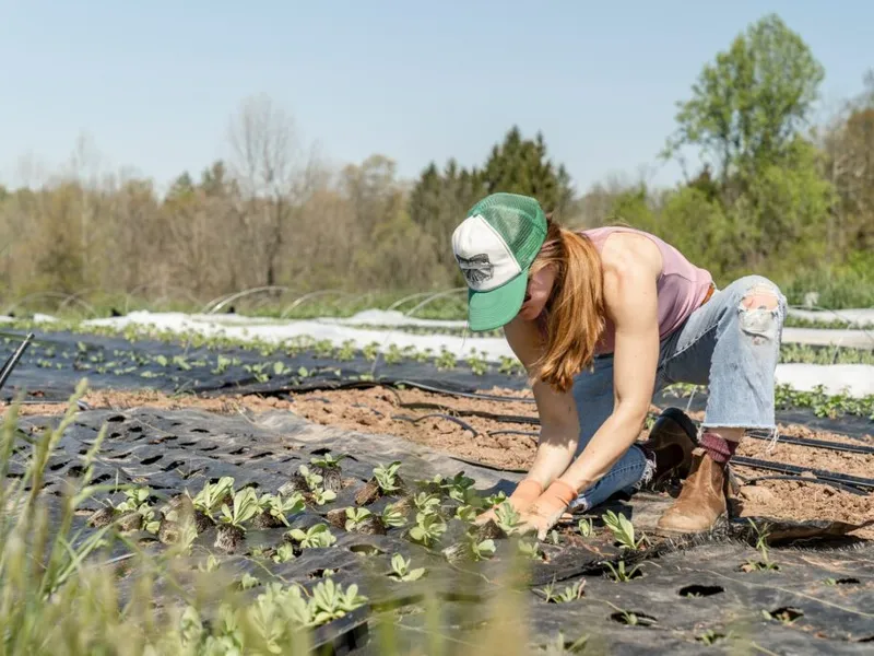 Farmarbeit in Kanada